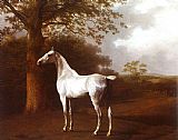 Famous Horse Paintings - White Horse in Pasture